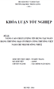 nang cao chat luong tin dung tai ngan hang thuong mai co phan cong thuong viet nam chi nhanh song nhue