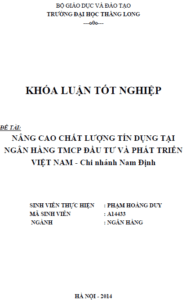 nang cao chat luong tin dung tai ngan hang tmcp dau tu va phat trien viet nam chi nhanh nam dinh