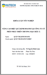 nang cao hieu qua kinh doanh tai cong ty co phan phat trien thuong mai chau a
