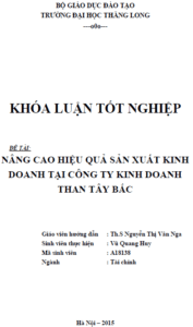 nang cao hieu qua san xuat kinh doanh tai cong ty kinh doanh than tay bac
