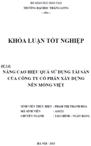 nang cao hieu qua su dung tai san cua cong ty co phan xay dung nen mong viet