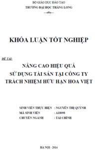 nang cao hieu qua su dung tai san cua cong ty trach nhiem huu han hoa viet