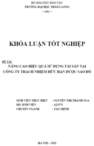Nâng cao hiệu quả sử dụng tài sản tại Công ty TNHH Dược Sao Đỏ 20 nang cao hieu qua su dung tai san tai cong ty tnhh duoc sao do