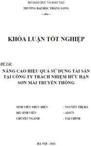 nang cao hieu qua su dung tai san tai cong ty tnhh son mai truyen thong
