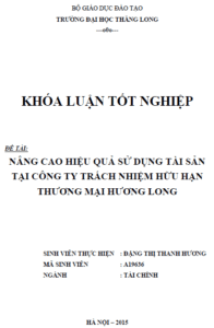 Nâng cao hiệu quả sử dụng tài sản tại Công ty TNHH Thương mại Hương Long 15 nang cao hieu qua su dung tai san tai cong ty tnhh thuong mai huong long