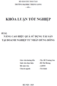 Nâng cao hiệu quả sử dụng tài sản tại doanh nghiệp tư nhân Dũng Đông 11 nang cao hieu qua su dung tai san tai doanh nghiep tu nhan dung dong