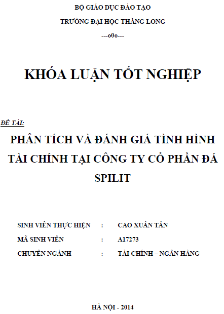 Phân tích đánh giá tình hình tài chính tại Công ty Cổ phần đá SPILIT 1 phan tich danh gia tinh hinh tai chinh tai cong ty co phan da spilit