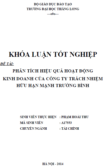 phan tich hieu qua hoat dong kinh doanh cua cong ty trach nhiem huu han manh truong binh