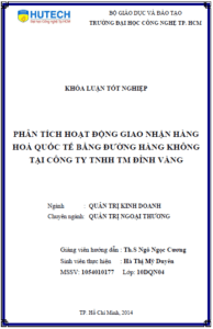 Phân tích hoạt động giao nhận hàng hóa quốc tế bằng đường hành không tại công ty TNHH Đỉnh Vàng 15 phan tich hoat dong giao nhan hang hoa quoc te bang duong hanh khong tai cong ty tnhh dinh vang