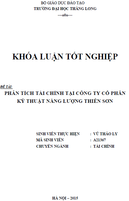 phan tich tai chinh tai cong ty co phan ky thuat nang luong thien son