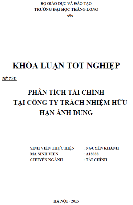 phan tich tai chinh tai cong ty tnhh anh dung