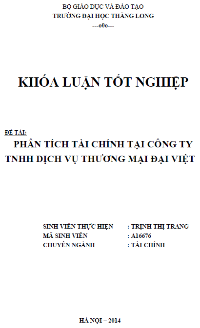 phan tich tai chinh tai cong ty tnhh dich vu thuong mai dai viet