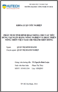 phan tich tinh hinh hoat dong cho vay tieu dung tai ngan hang nong nghiep va phat trien nong thon viet nam chi nhanh mien dong 1