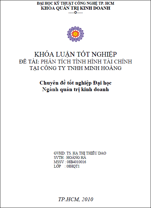 phan tich tinh hinh tai chinh tai cong ty tnhh minh hoang