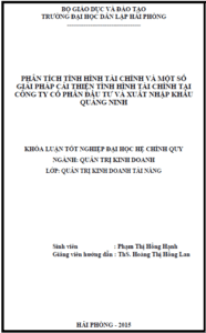 phan tich tinh hinh tai chinh va mot so giai phap cai thien tinh hinh tai chinh tai cong ty co phan dau tu va xuat nhap khau quang ninh