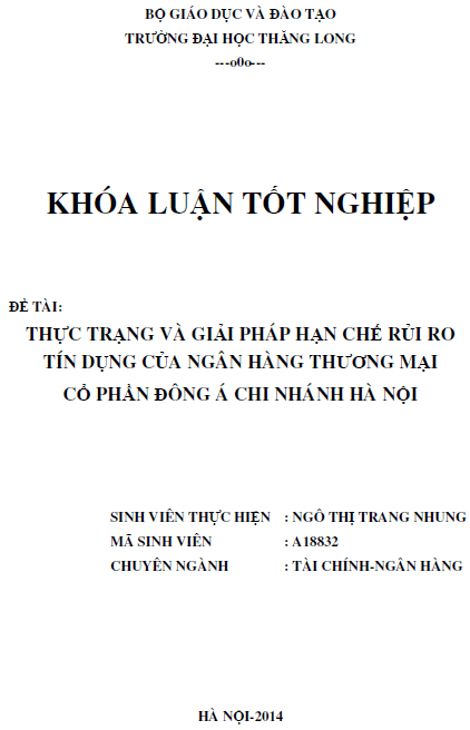 thuc trang va giai phap han che rui ro tin dung cua ngan hang thuong mai co phan dong a chi nhanh ha noi