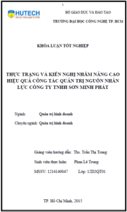 thuc trang va giai phap nham nang cao hieu qua cong tac quan tri nguon nhan luc cua cong ty tnhh son minh phat