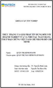 thuc trang va giai phap tin dung doi voi doanh nghiep vua va nho tai ngan hang tmcp dai chung viet nam chi nhanh ho chi minh 1