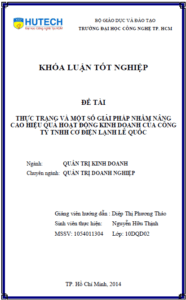 thuc trang va mot so giai phap nham nang cao hieu qua hoat dong kinh doanh cua cong ty co dien lanh le quoc 1
