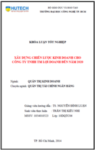 xay dung chien luoc kinh doanh cho cong ty tnhh thuong mai loi doanh den nam 2020