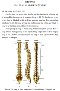 cham soc va phuc hoi chuc nang cho benh nhan dau cot song that lung do thoat vi dia dem
