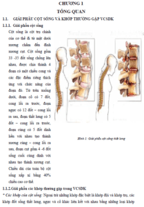 cham soc va phuc hoi chuc nang cho benh nhan viem cot song dinh khop
