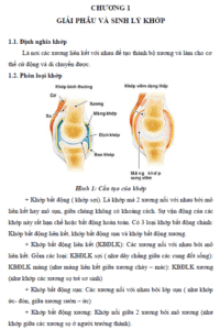 cham soc va phuc hoi chuc nang cho benh nhan viem khop dang thap