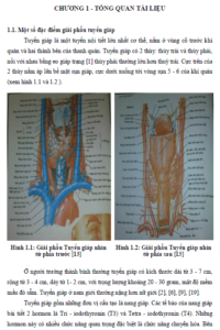 dac diem lam sang va ket qua cham soc benh nhan sau phau thuat buou giap don thuan nam 2009 tai khoa ngoai cham te benh vien cham cuu trung uong