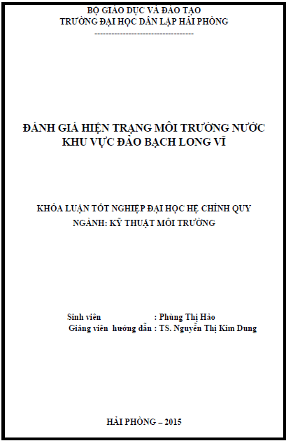 danh gia hien trang moi truong nuoc khu vuc dao bach long vi
