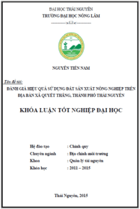 danh gia hieu qua su dung dat san xuat nong nghiep tren dia ban xa quyet thang thanh pho thai nguyen 1