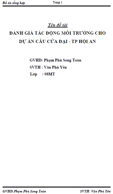 danh gia tac dong moi truong cho du an cau cua dai thanh pho hoi an