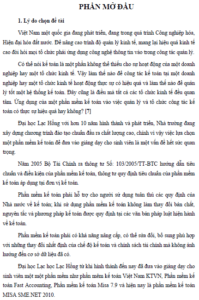 danh gia tinh hinh su dung phan mem ke toan misa sme net 2010 tai khoa ke toan kiem toan