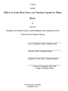 effect of acute heat stress on nutrient uptake by plant roots