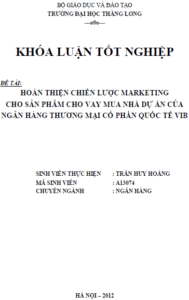 Hoàn thiện chiến lược marketing cho sản phẩm cho vay mua nhà dự án của Ngân hàng Thương mại Cổ phần Quốc tế VIB 5 hoan thien chien luoc marketing cho san pham cho vay mua nha du an cua ngan hang thuong mai co phan quoc te vib