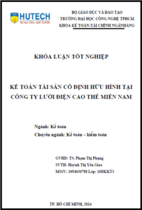 ke toan tai san co dinh huu hinh tai cong ty luoi dien cao the mien nam
