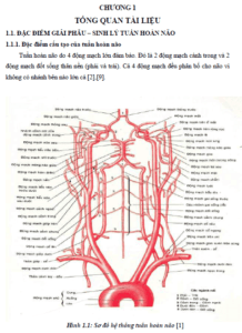 ket qua phuc hoi van dong bang phuong phap dien cham ket hop voi xoa bop bam huyet tren benh nhan liet nua nguoi do tai bien xuat huyet nao tai vien y hoc co truyen quan doi