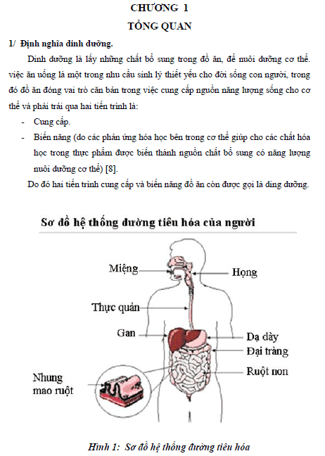kien thuc va thai do cua benh nhan ve che do dinh duong trong dieu tri ung thu