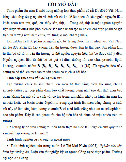 nghien cuu quy trinh san xuat lap xuong bo len men