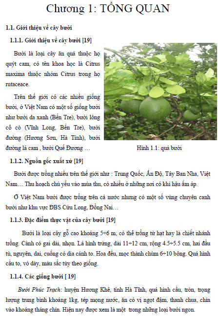nghien cuu san xuat mut tu vo buoi