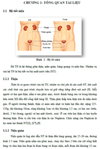 nhan thuc cham soc thong tieu cua nguoi nha cham soc nguoi benh tai benh vien viet duc nam 2012