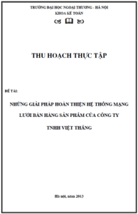 nhung giai phap hoan thien he thong mang luoi ban hang san pham cua cong ty tnhh viet thang