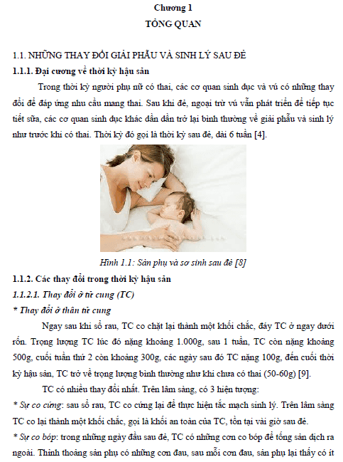 Thực trạng co hồi tử cung của sản phụ đẻ thường tại Bệnh viện Phụ sản Trung ương năm 2012 1 thuc trang co hoi tu cung cua san phu de thuong tai benh vien phu san trung uong nam 2012