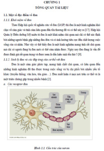 tinh trang dau sau khi tien hanh mot so thu thuat cham soc tren nguoi benh tai khoa chan thuong chinh hinh benh vien viet duc