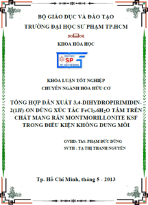 tong hop dan xuat 3 4 dihidropirimidin 2 1h on dung xuc tac fecl3 6h2o tam tren chat mang ran montmorillonite ksf trong dieu kien khong dung moi