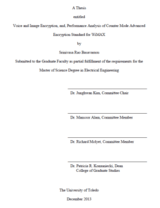 voice and image encryption and performance analysis of counter mode advanced encryption standard for wimax