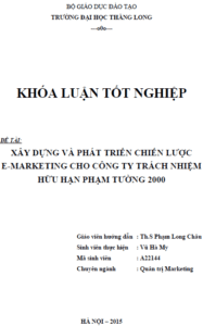 Xây dựng và phát triển chiến lược E-Marketing cho Công ty TNHH Phạm Tường 2000 16 xay dung va phat trien chien luoc e marketing cho cong ty tnhh pham tuong 2000