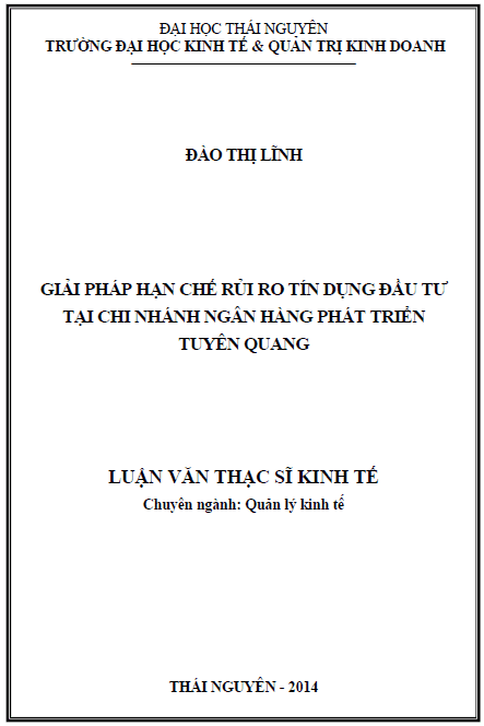 giai phap han che rui ro tin dung dau tu tai chi nhanh ngan hang phat trien tuyen quang