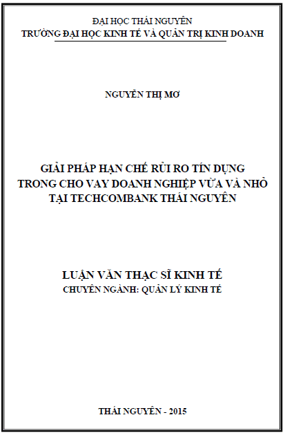 giai phap han che rui ro tin dung trong cho vay doanh nghiep vua va nho tai techcombank thai nguyen