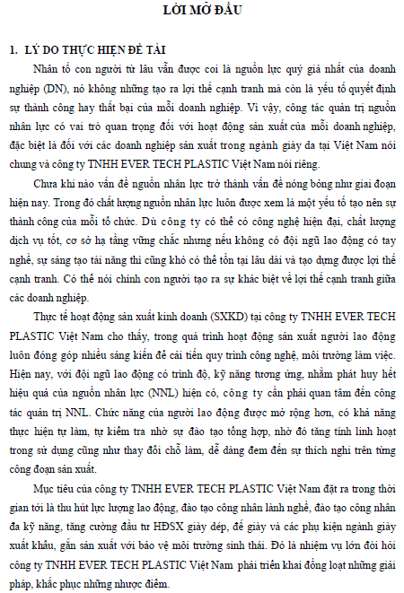 giai phap hoan thien cong tac quan tri nguon nhan luc tai cong ty tnhh ever tech plastic viet nam den nam 2017