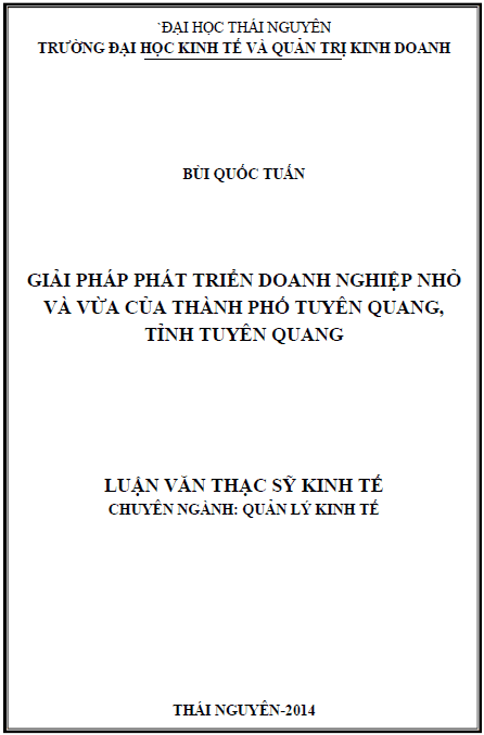 giai phap phat trien doanh nghiep nho va vua cua thanh pho tuyen quang tinh tuyen quang